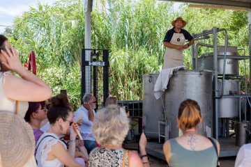 Visite guidée d'une distillerie de lavande