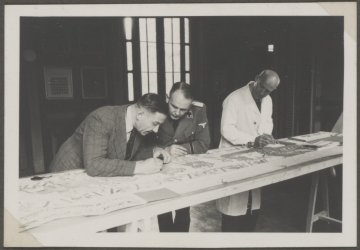 Exposition : de lin et de laine, la Tapisserie de Bayeux en temps de guerre