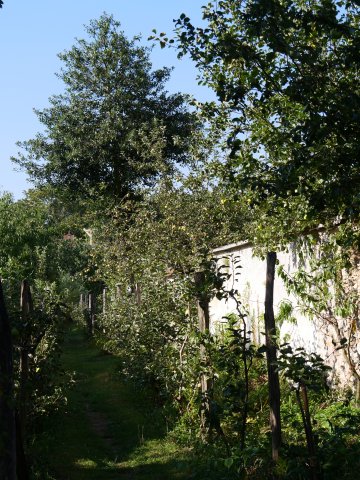 Visite des Jardins des Murs à Pêches