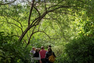 Visite guidée des cours et jardins du quadrilatère des Archives nationales