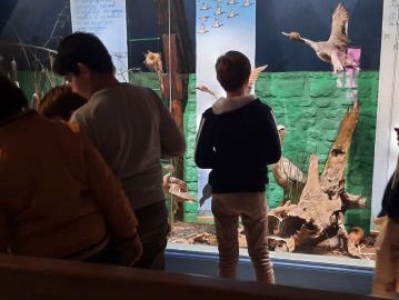 Levez les yeux ! Dans la collection d'histoire naturelle, il y a...