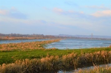 Levez les yeux ! Circuit "à la découverte des marais de la Dives"