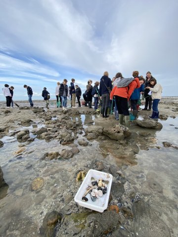 Levez les yeux ! Pêche à pied naturaliste