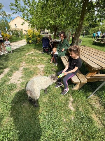 Découverte du mas de la Gallinière : visite de la ferme et atelier fabrication du beurre.