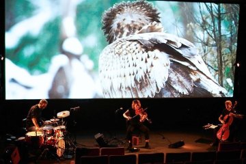 Ciné-Concert : Dans les bois
