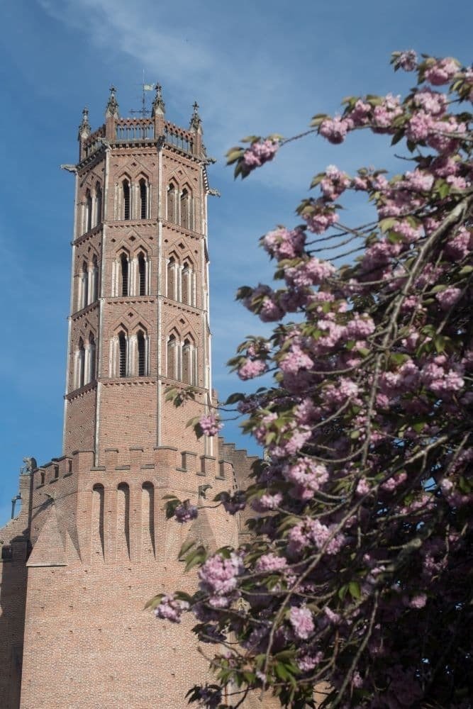 Visite libre de la cathédrale de Pamiers