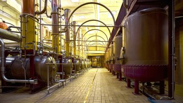 Visite du Carré Cointreau