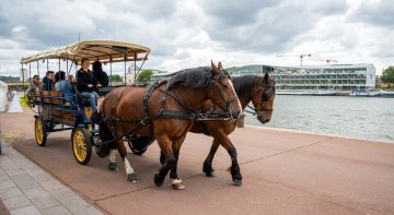 Balade contée en calèche - Fête du Fleuve