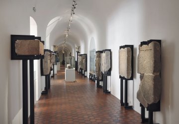Visite libre du Musée Archéologique