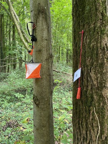 Parcours d'Orientation dans le parc du château