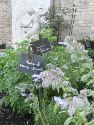 Atelier grainothèque de simples