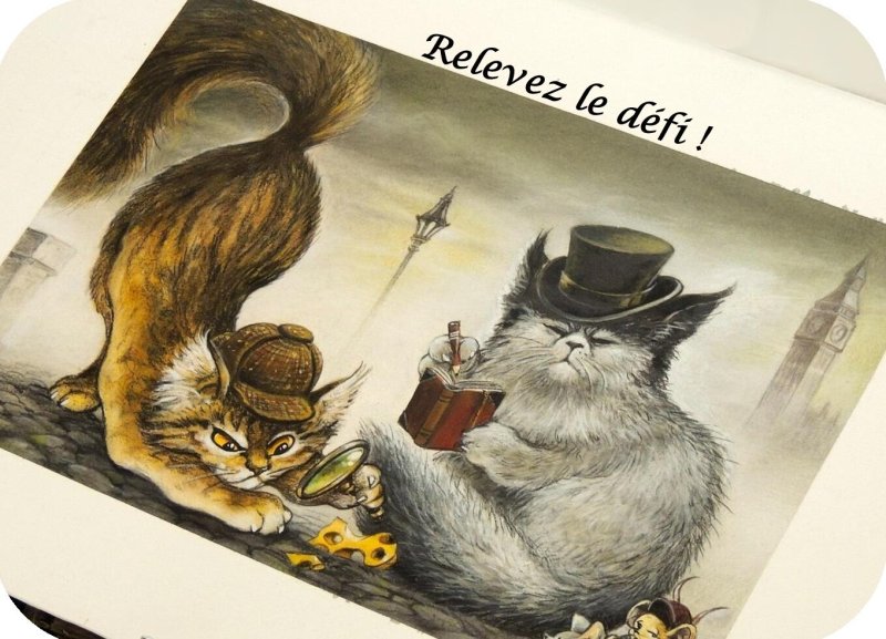 Le défi du lecteur