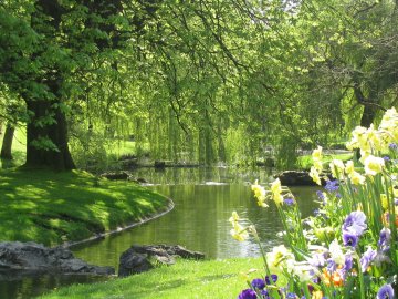 Visite guidée Le parc Barbieux en photographies