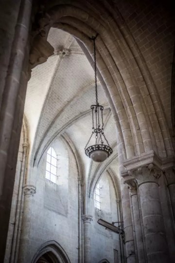 Visite de la Collégiale Saint-Liphard