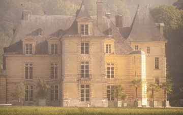 Visite guidée autour du château : histoire, architecture et botanique
