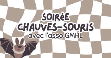 - Soirée chauves-souris -