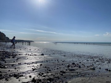 Visite guidée : Dieppe depuis l'Estran, étranges perspectives et lignes de ville