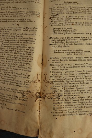 Visite guidée : les enjeux de la conservation des documents
