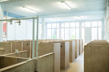 Découverte des douches du Paris-Roubaix