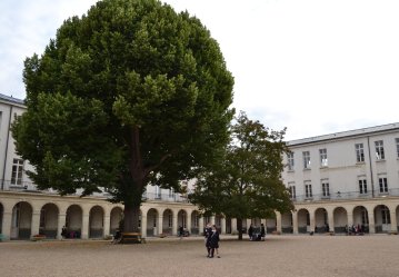 Visite guidée de la maison d'éducation de la Légion d'honneur des Loges