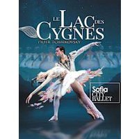 Le lac des cygnes
