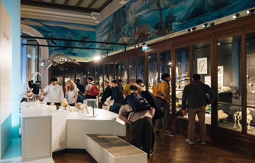 ! ANNULÉ ! Killer Party au Muséum