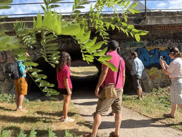 Parc Henri Matisse autrement : promenade sonore immersive