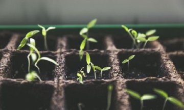 Les rendez-vous au jardin