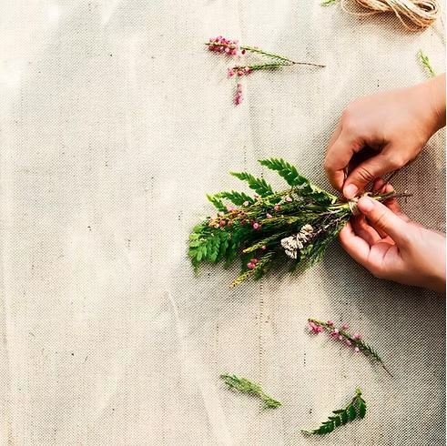 Atelier jardinage : Herbier - Récolter des plantes et les préparer au séchage