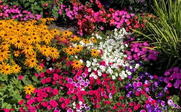 [ANNULE] Le bureau des plantes