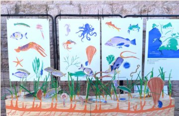 Ateliers climat : une biodiversité pour le futur