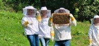 Atelier ruches sur la vie des abeilles