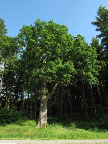 Exposition de photographies sur le patrimoine naturel