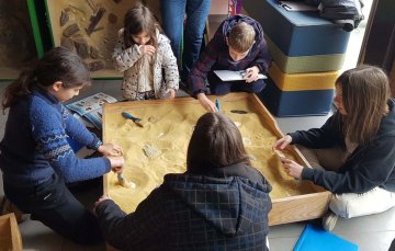 Atelier : "Que nous racontent les fossiles ?"