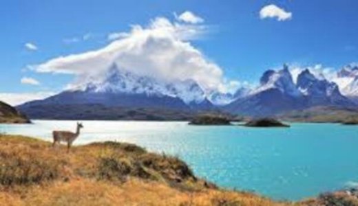 Café lecture - Chili-Argentine