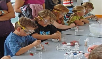 Atelier scientifique