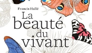 ! ANNULÉ ! La beauté du paysage