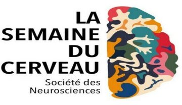 Être un corps : comment les sens construisent le soi ?
