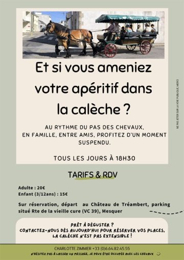 Balades en calèche