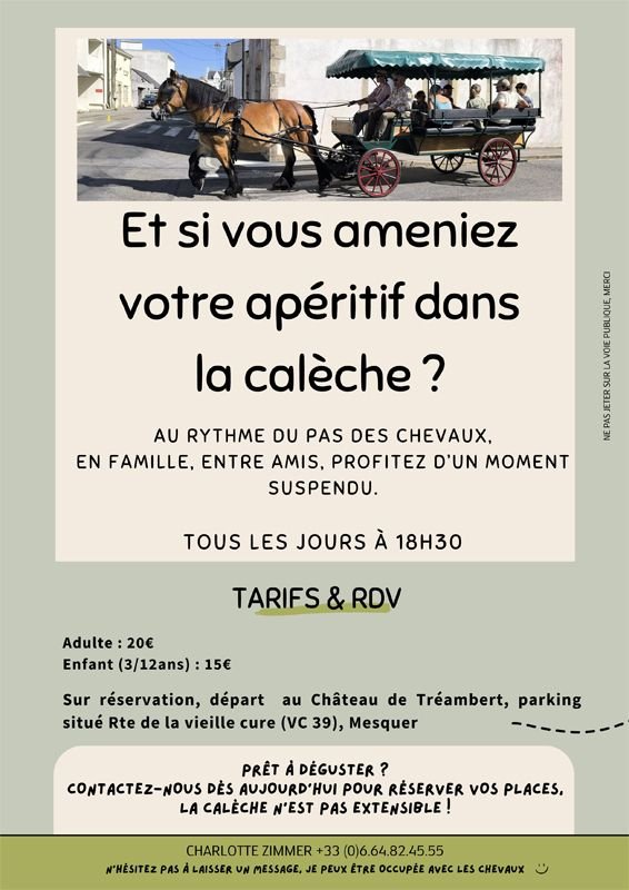 Balades en calèche