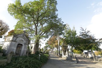 Visite guidée du cimetière