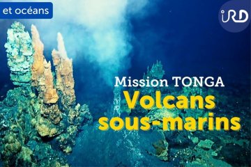 Université du Potager du Dauphin | Jeudis du CNRS - Mission Tonga - À la recherche des volcans sous-marins du Pacifique
