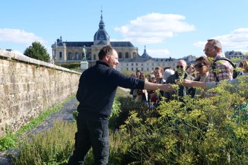 Visites guidées du Potager du Roi