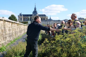 Visites guidées du Potager du Roi