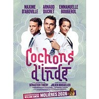 Cochons d'inde