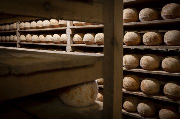 Visite guidée de la maison César Losfeld
