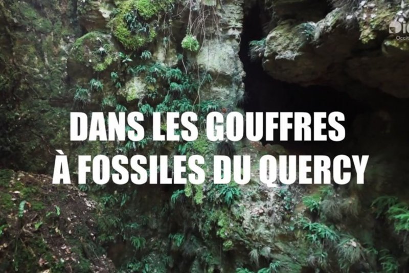 Université du Potager du Dauphin | Jeudis du CNRS - Dans les gouffres à fossiles du Quercy