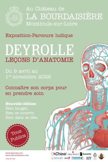 Visite libre de l'exposition "Deyrolle, Leçons d'anatomie"