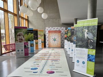 Exposition sur le patrimoine naturel à la Maison du Terroir et d'Animations de Beaulieu-sur-Loire