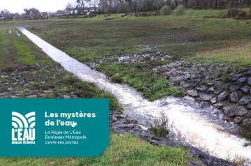 Participez à la randonnée « Le Bourgailh »